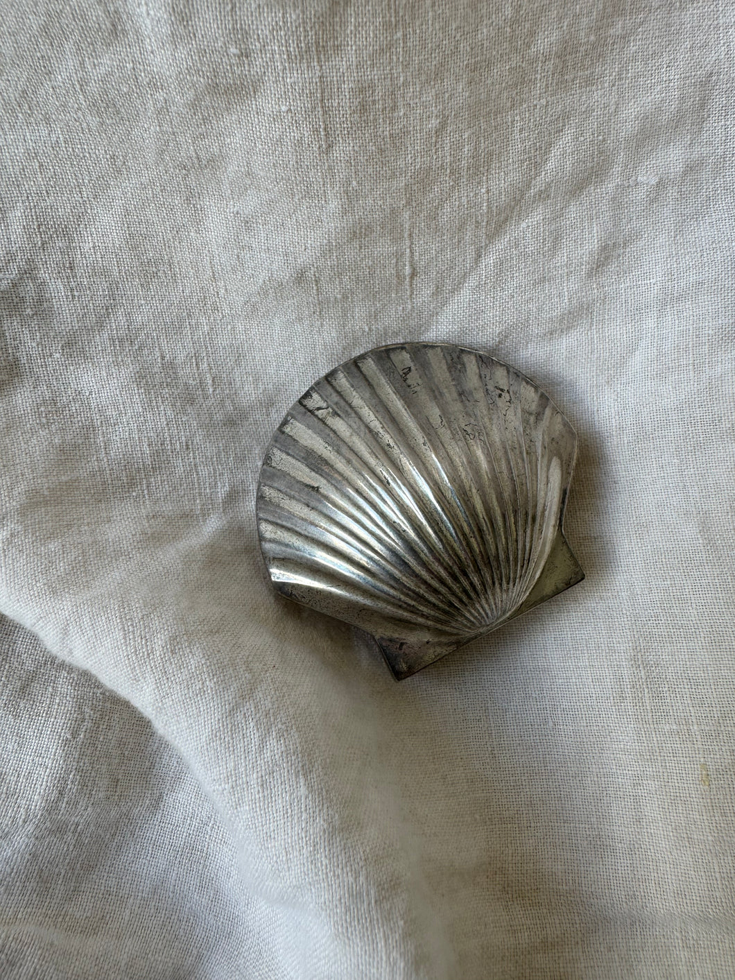 Silver Shell Box