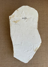 Lade das Bild in den Galerie-Viewer, Male Torso Wall Relief
